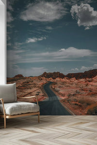 Winding Desert Highway Wall Mural