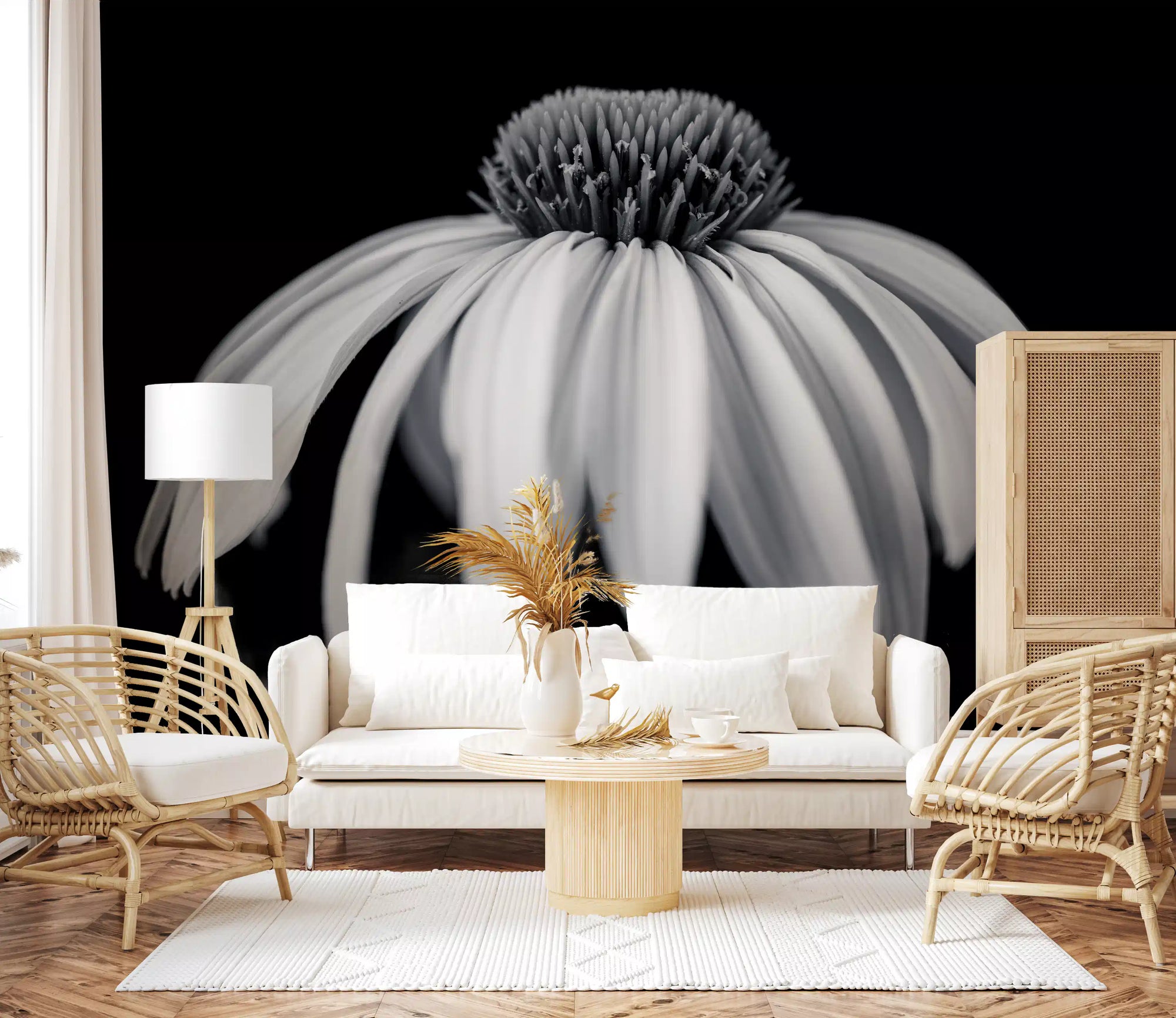 Monochrome echinacea bloom wall mural with cascading petals GD11124