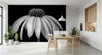 Monochrome Echinacea Bloom Wall Mural