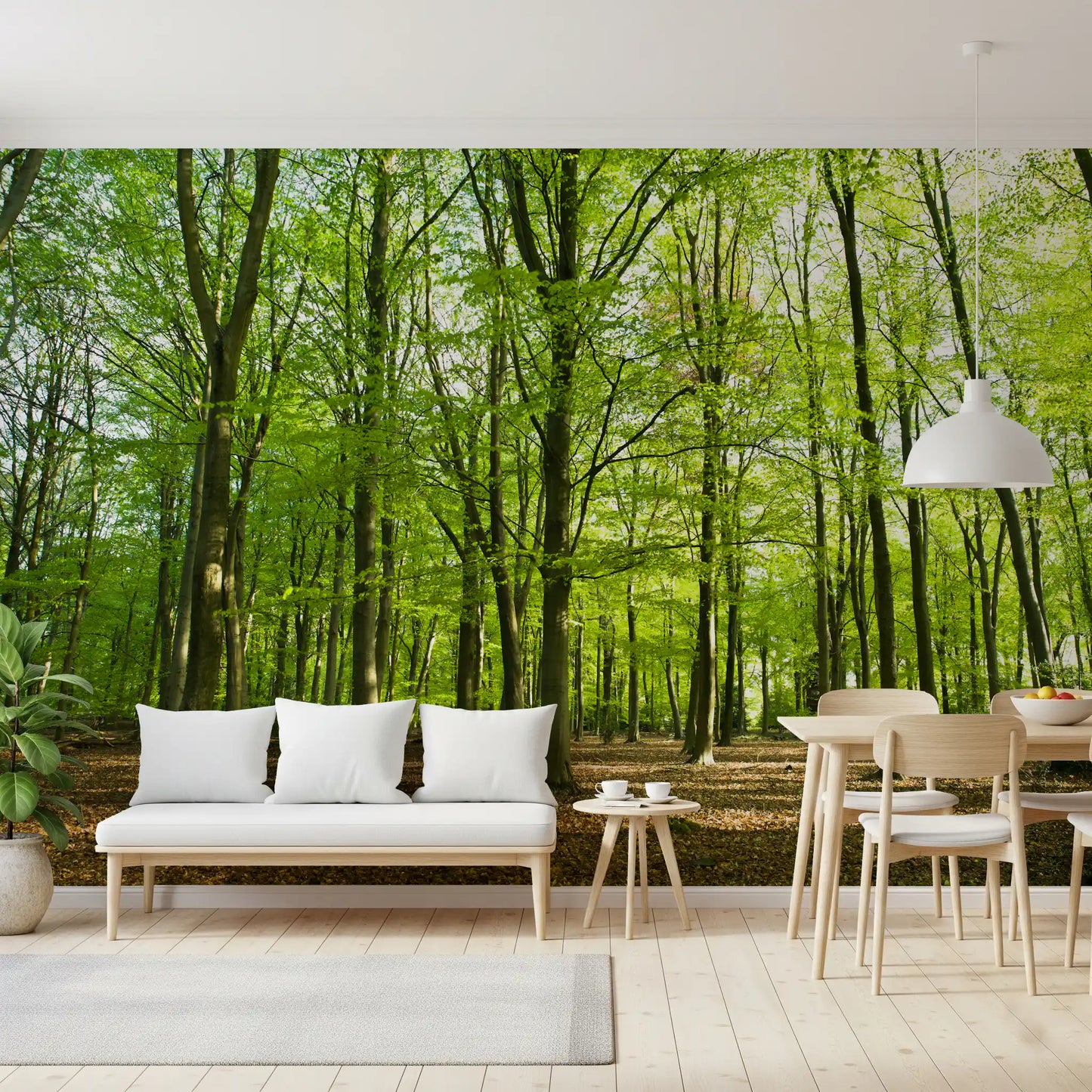 Sunlit Spring Beech Grove Wall Mural