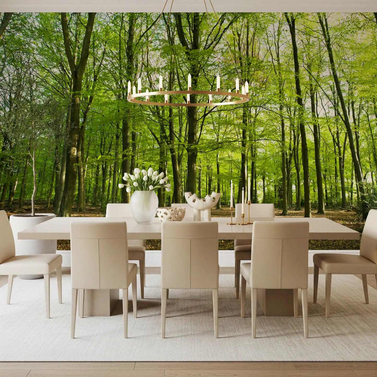 Sunlit Spring Beech Grove Wall Mural