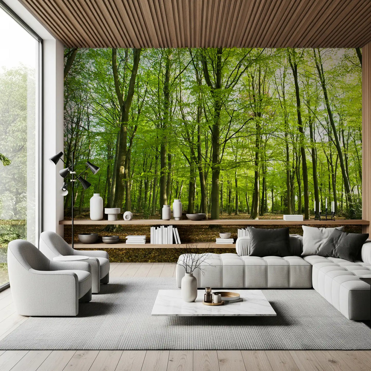 Sunlit Spring Beech Grove Wall Mural