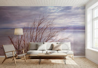 Misty Shoreline Reflection Wall Mural
