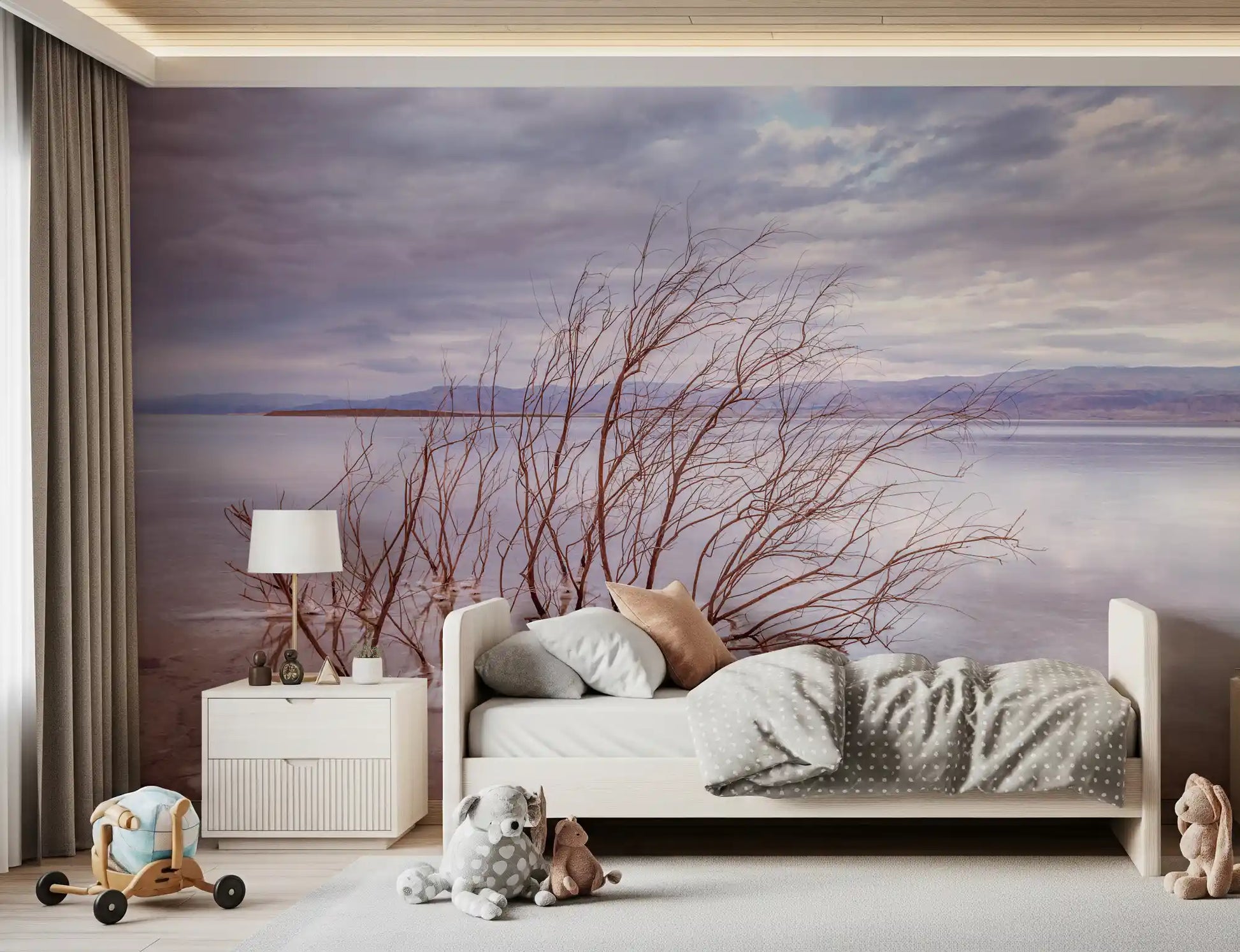 Misty Shoreline Reflection Wall Mural
