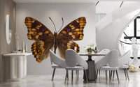 Amber Winged Monarch Wall Mural