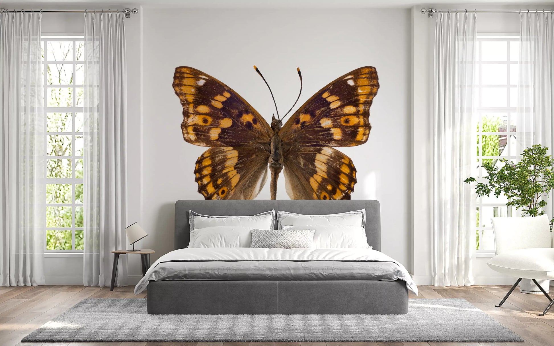 Amber Winged Monarch Wall Mural