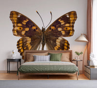 Amber Winged Monarch Wall Mural