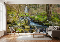 Cascading Highland Waterfall Stream Wall Mural