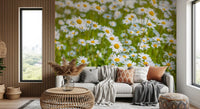 Sunlit Daisy Meadow Wall Mural