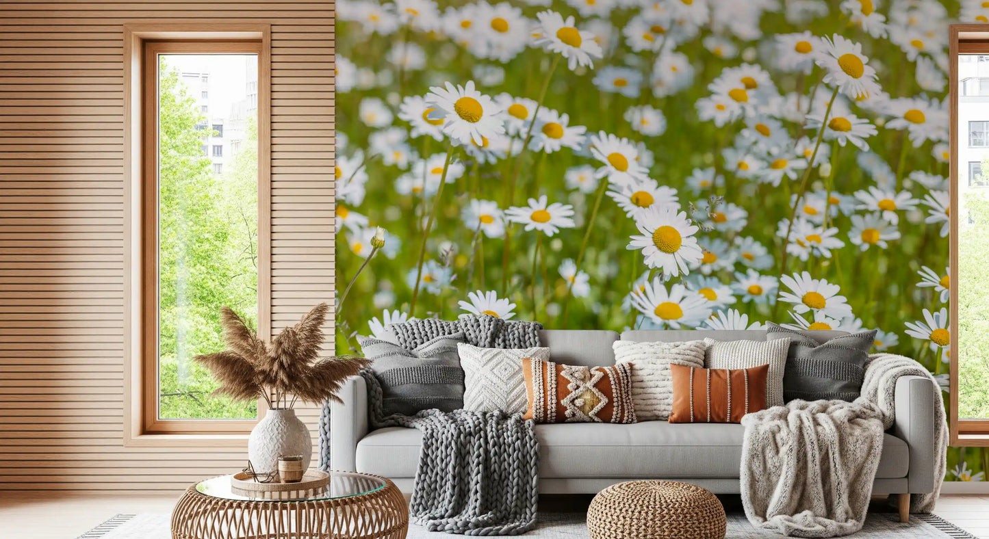 Sunlit Daisy Meadow Wall Mural