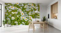 Sunlit Daisy Meadow Wall Mural