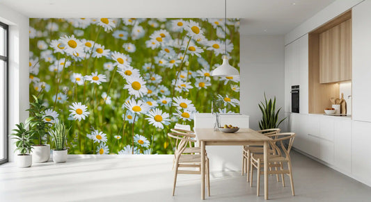 Sunlit daisy meadow wall mural with white and yellow flowers in dining room GD11164