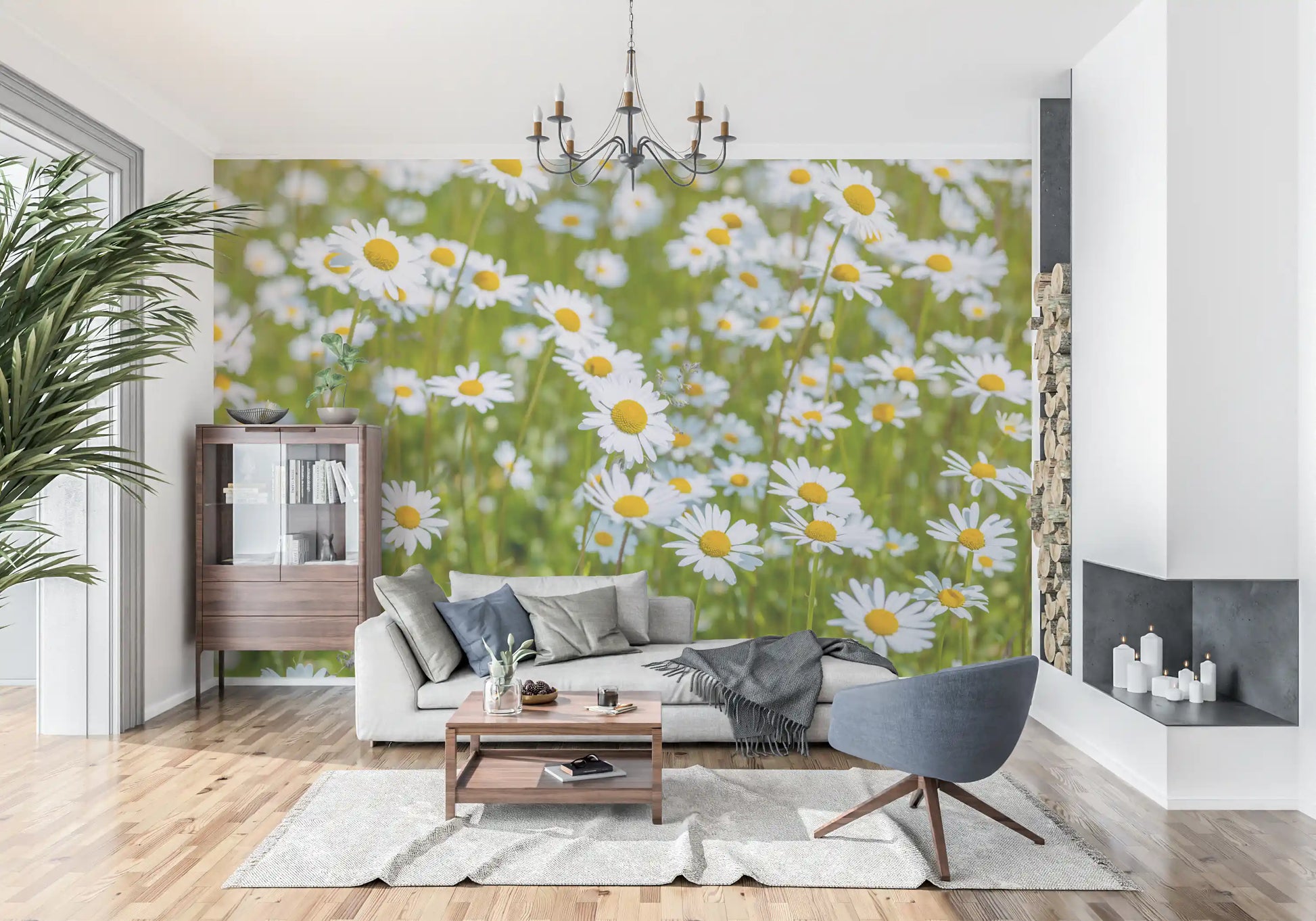 Sunlit Daisy Meadow Wall Mural