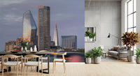 London Metropolitan Skyline Vista Wall Mural