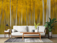 Golden Aspen Forest Motion Wall Mural