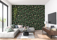 Lily Pad Pond Wallpaper⁠