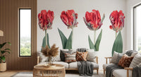 Crimson Parrot Tulip Study Wall Mural