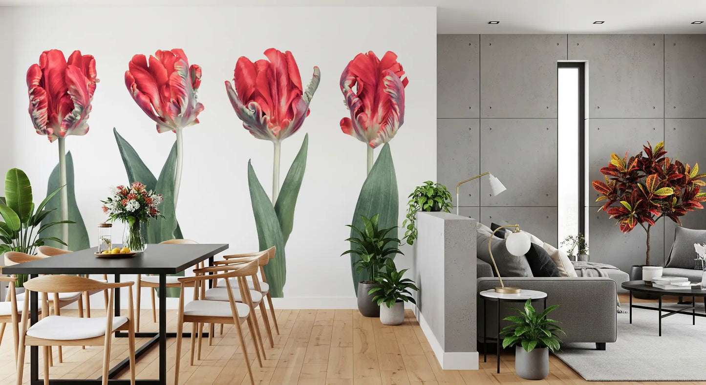 Crimson Parrot Tulip Study Wall Mural
