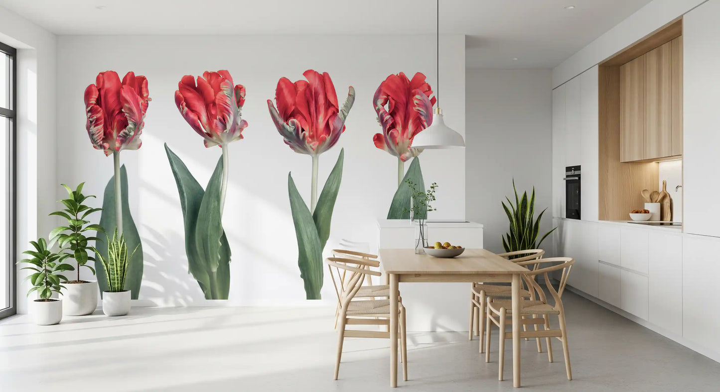 Crimson Parrot Tulip Study Wall Mural