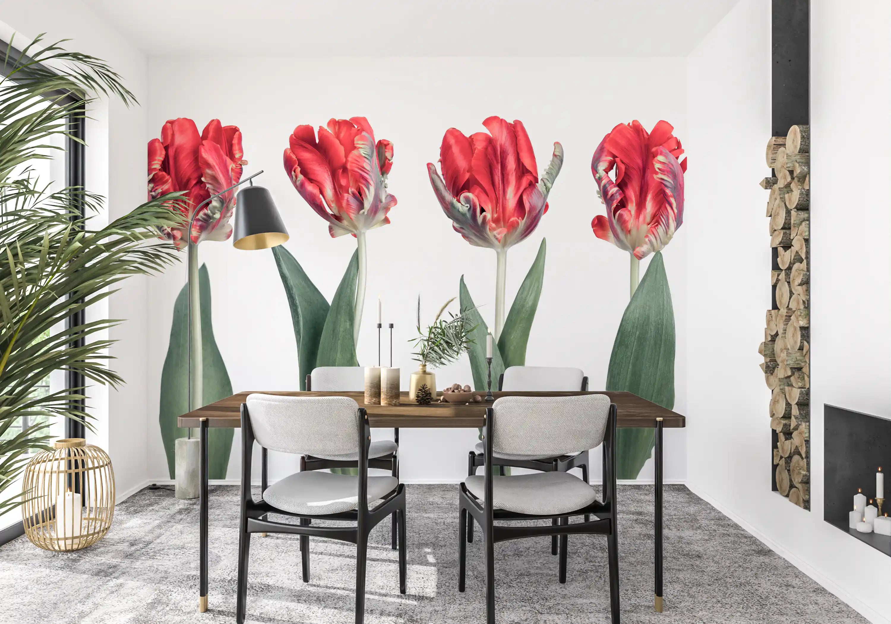 Crimson parrot tulip wall mural with four red blooms on white GD11375