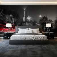 Night in Paris Cityscape Wall Mural
