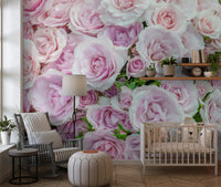 Soft Blush Rose Garden Wall Mural