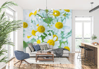 Spring Meadow Bloom Wall Mural