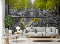 Sunny Tulips on a Dutch Bridge Wall Mural