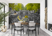Sunny Tulips on a Dutch Bridge Wall Mural
