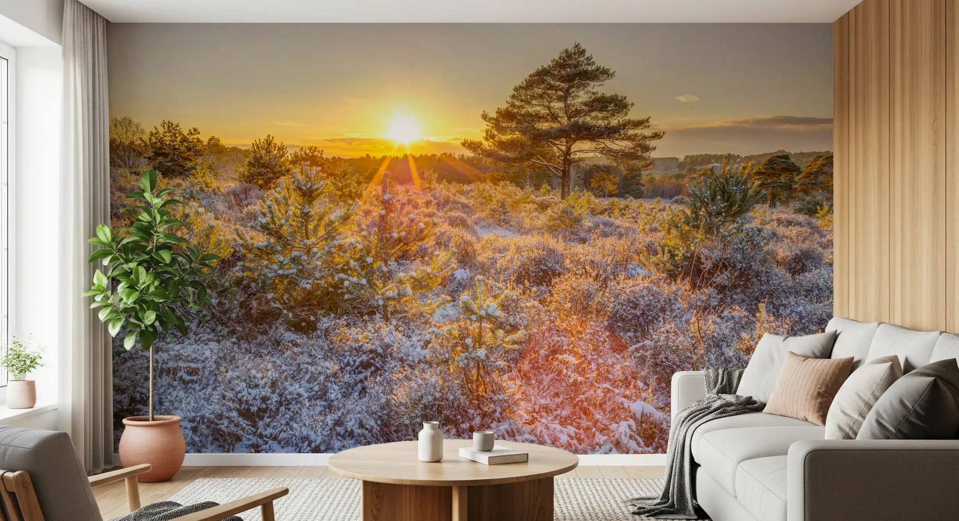 Frosty Morning Woodland Glow Wall Mural