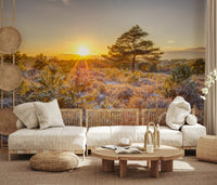 Frosty Morning Woodland Glow Wall Mural
