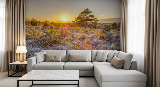 Winter sunrise woodland mural with a low golden sun over frosty pines in living room GD11426