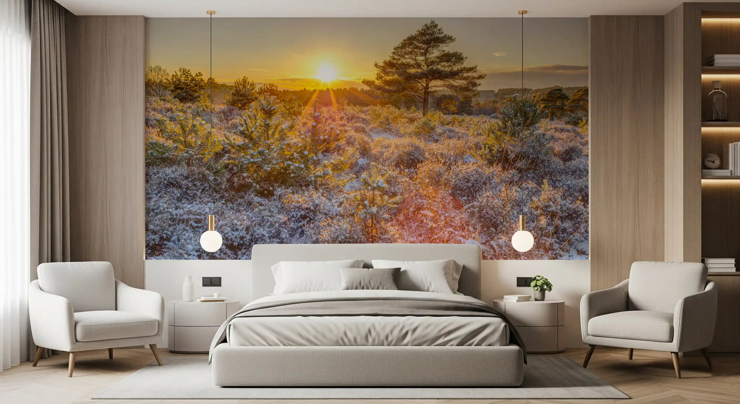 Frosty Morning Woodland Glow Wall Mural