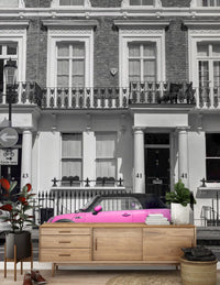 Urban Pink Pop Monochrome Wall Mural