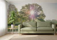 Golden Hour Meadow Canopy Wall Mural