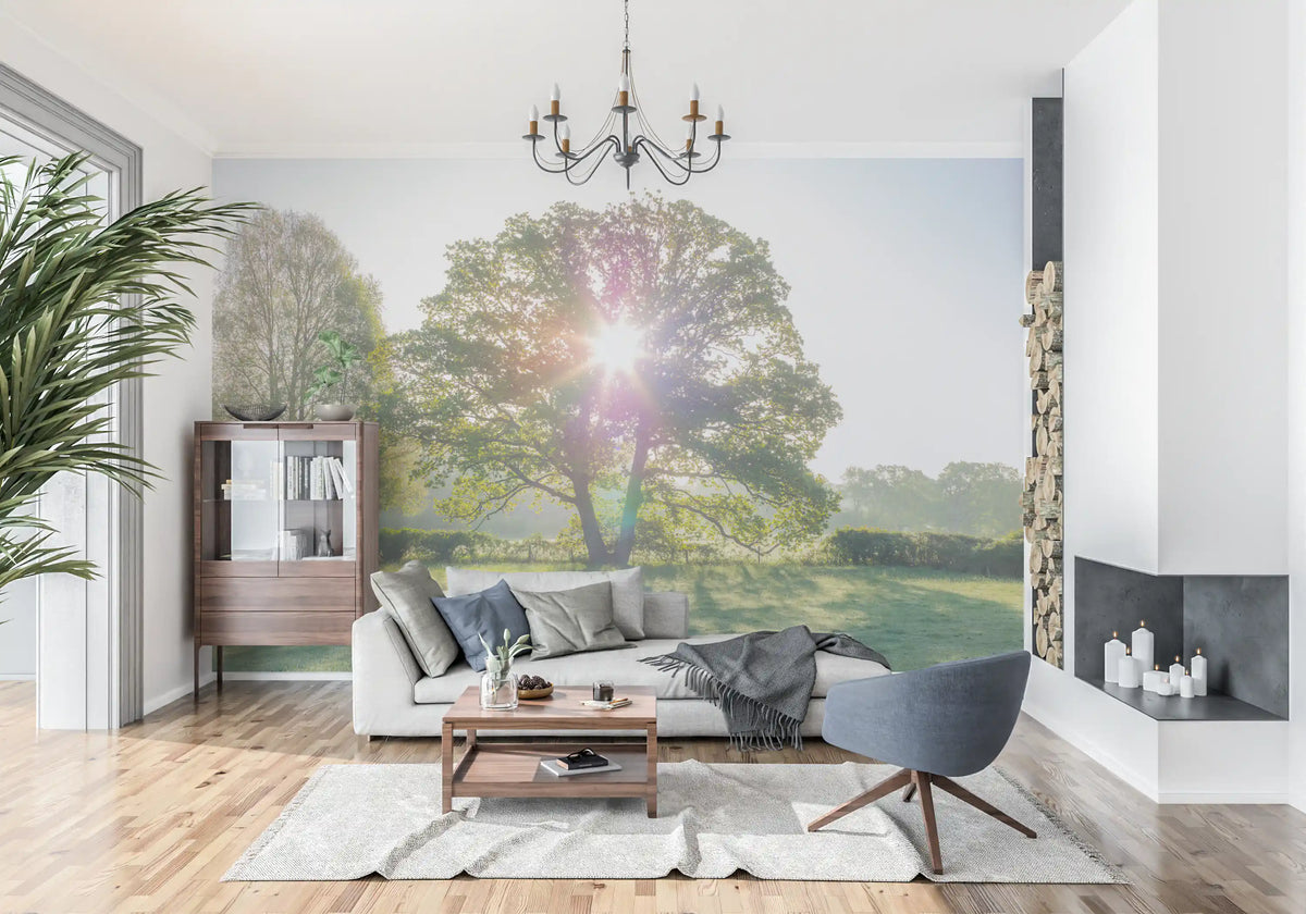 Golden hour meadow mural with a sunlit oak tree and green field GD11432