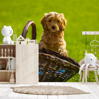 Playful Golden Puppy Portrait Wall Mural