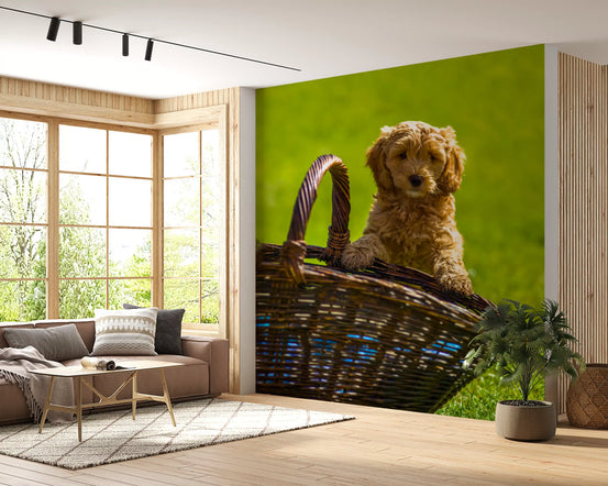 Golden puppy mural with a curly pup in a woven basket on green grass GD11433