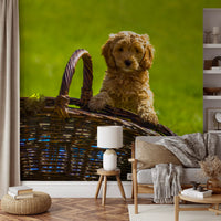 Playful Golden Puppy Portrait Wall Mural