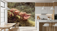 Woodland Fungi Soft Focus Botanical Wall Mural