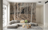 Winter Woodland Shadow Path Wall Mural