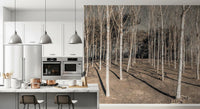 Winter Woodland Shadow Path Wall Mural