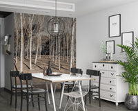 Winter Woodland Shadow Path Wall Mural