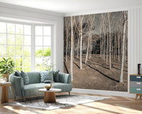 Winter Woodland Shadow Path Wall Mural