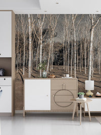 Winter Woodland Shadow Path Wall Mural