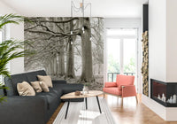 Ethereal Forest Canopy Wall Mural