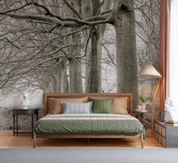 Ethereal Forest Canopy Wall Mural