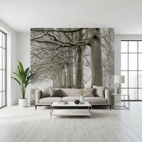 Ethereal Forest Canopy Wall Mural