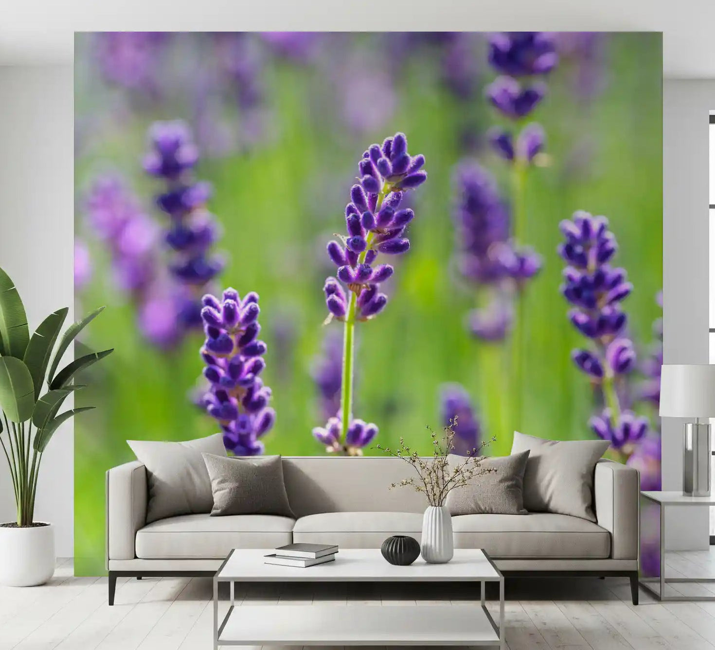 Purple lavender mural with tall flower spikes and green stems in soft focus GD11453