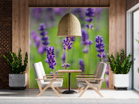 Ethereal Purple Blossom Stems Wall Mural